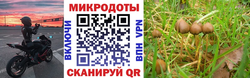 сайты даркнета Telegram Гусь-Хрустальный Псилоцибиновые грибы ЛСД